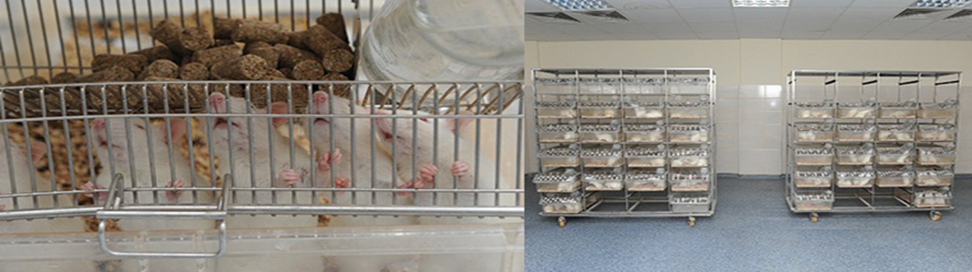 Slide-YHHI021220251017.jpg